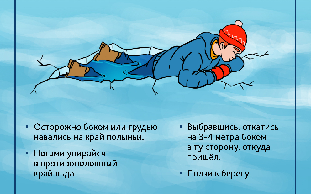 4т.jpg